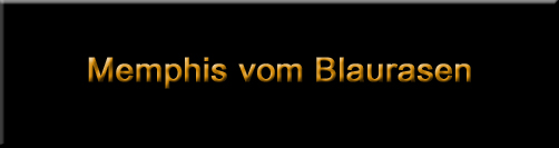 Memphis - Rottweiler Male