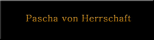 Pascha von Herrschaft, male rottweiler