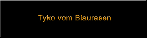 Tyko vom Blaurasen
