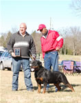 1299 Karriems Power Player V1 Champion Males