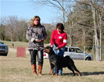 1524 Queen La Diva Von Evman V2 Champion Females