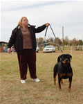 12-18 MONTH FEMALES: 1014 Katie Vom Blaurasen SG1