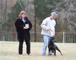 12-18 MONTH FEMALES: 12-18 Females Ceanna Vom Chandlerhaus SG3 1040