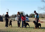 KENNEL GROUP: 0013 Von Evman Rottweilers 2nd