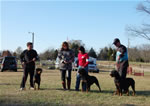 KENNEL GROUP: 0016 Von Evman Rottweilers 2nd