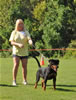0164 X Nemo Vom Blaurasen VP1 Best Male Puppy