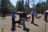 6-9 mth Rottweiler Females: 0169