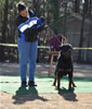 Gebrauchshund males: 0612 Ch Moro Timit Tor V2