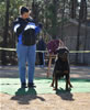 Gebrauchshund males: 0613 Ch Moro Timit Tor V2