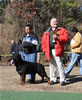 Gebrauchshund males: 0617 Ch Moro Timit Tor V2