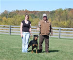 Rottweiler Females Open Class: 0021 Harts Shastas New Rythm SG2-rated