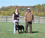 Rottweiler Females Open Class: 0022 Harts Shastas New Rythm SG2-rated