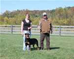 Rottweiler Females Open Class: 0023 Harts Shastas New Rythm SG2-rated