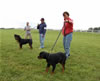 Best Female Puppy: DSC 0412