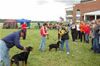 Best Female Puppy: DSC 0422