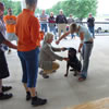 BST's and ABST's: 0002 Measuring