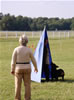 BST's and ABST's: 0185 Courthaus Panzers Mark