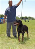 12-18 Females: 0301 Blaxwils Mocca
