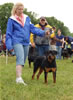 6-9 Females: 0275 Uniques Hilma Vom Algutshof