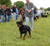 6-9 Females: 0286 Nightshadow Zip