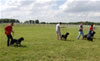 Kennel Class: DSC 0003