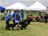 Kennel Class: DSC 0005