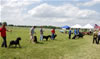 Kennel Class: DSC 0007
