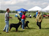 Kennel Class: DSC 0009