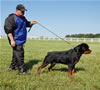 12-18 Males: 0022 Von Sarcos Reiken