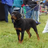 6-9 Males: 0058 Leonidas Von Krafthaus