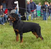 6-9 Males: 0077 Igor Von Rivendell