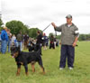 9-12 Males: 0159 Jennasons Cajun Ace