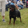 Sieger Males: 0279 Arzadon Zato
