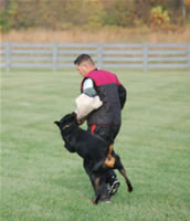 John Bernard: 3008 Eddy Vom Hammerbachtal