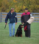 Skip Morgart: 0355 Redwood Krests Shane