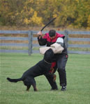 Amanda Hoskinson: 0415 Voss Du Clos Lenka