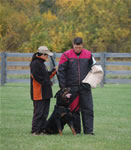 Amanda Hoskinson: 0420 Voss Du Clos Lenka