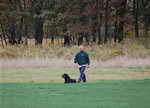 Chuck Wilson: 0098 Chubaka Vom Waldbach