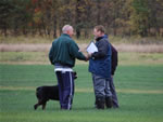 Chuck Wilson: 0107 Chubaka Vom Waldbach