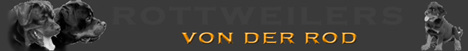 von der Rod Rottweilers - TN