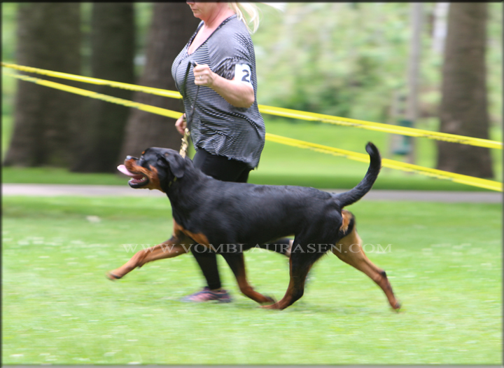 Winnie vom Blaurasen