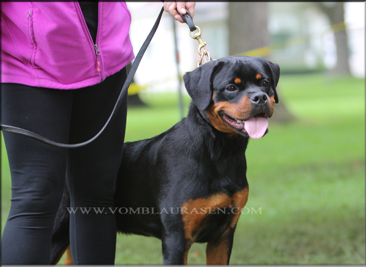 Winnie vom Blaurasen