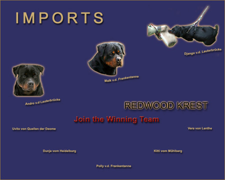 rottweiler ads. rottweiler magazine ads,  rottweiler graphic design, rottweiler ad design
